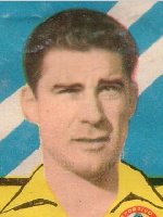 Francisco Goicolea Areitio